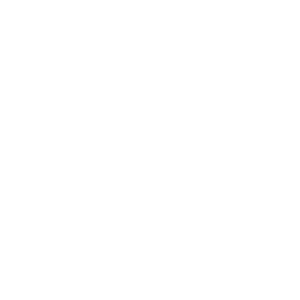 equinix logo