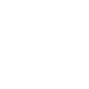 salesforce logo