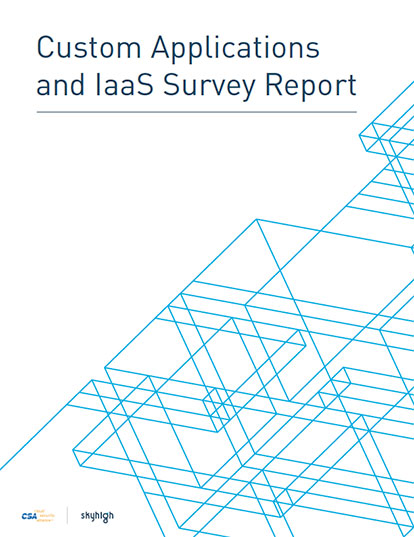 wp-custom-application-iaas-survey-report-414
